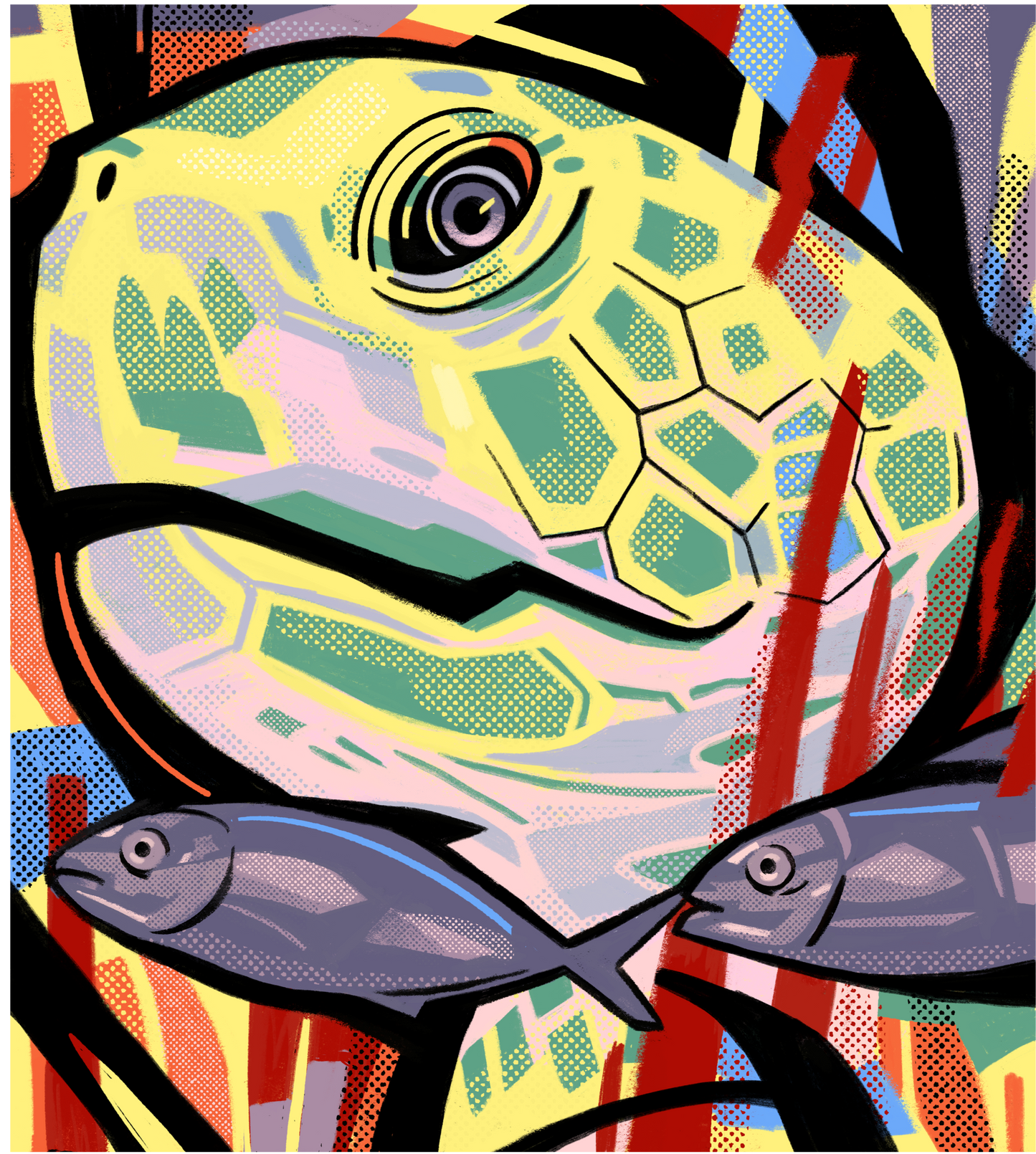 skildpadde t-shirt motiv