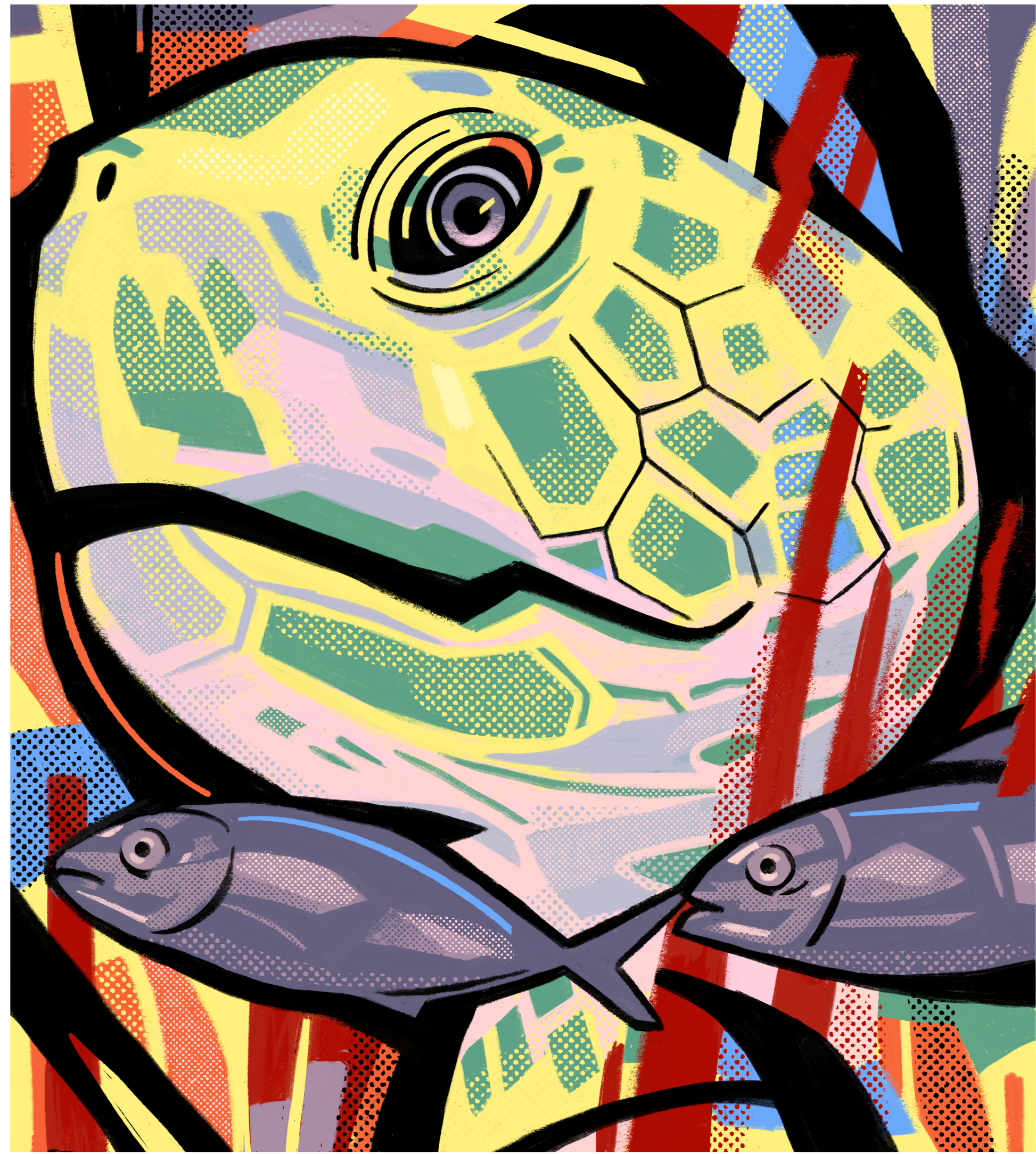 skildpadde t-shirt motiv