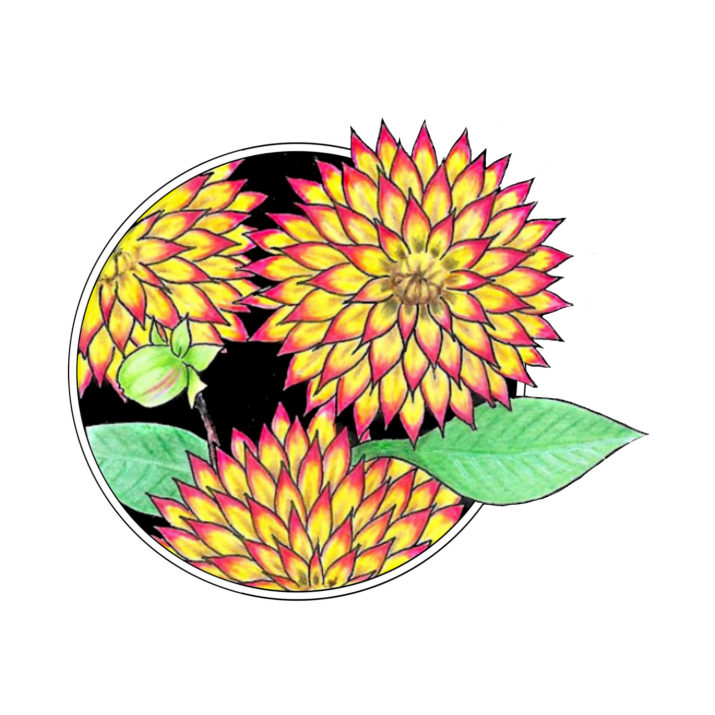 Dahlia - T-shirt