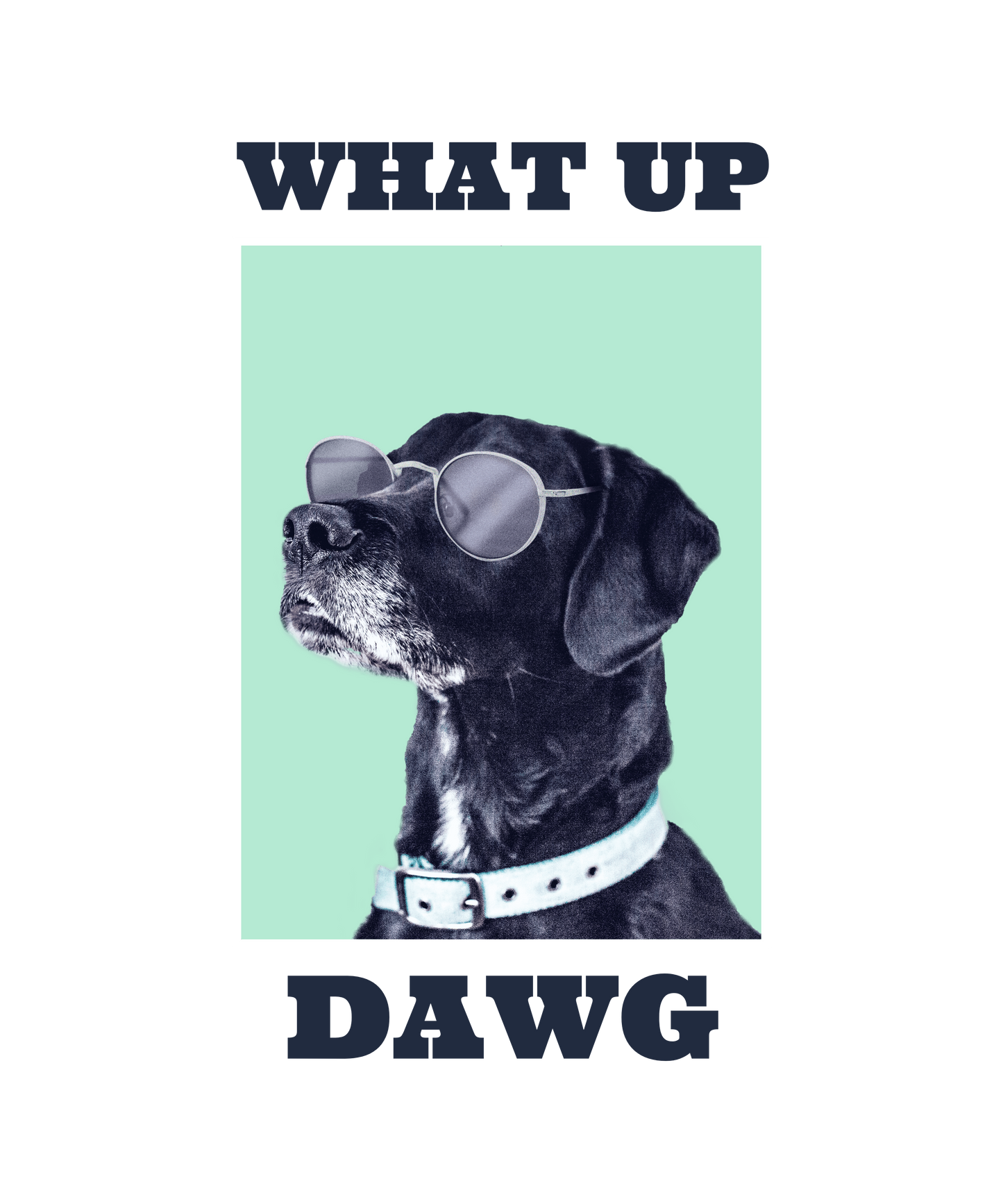 Sjov hund med solbriller - T-shirt