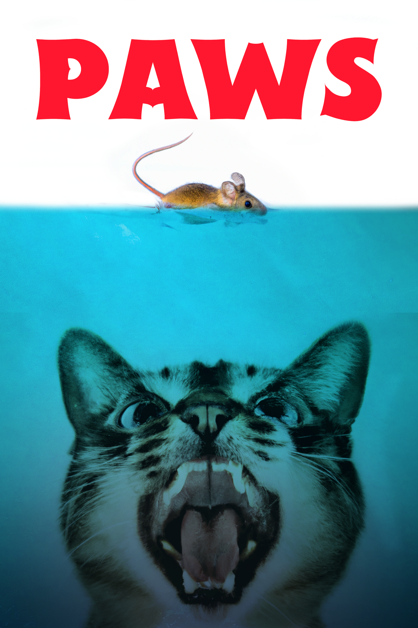 PAWS - T-shirt