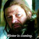 Winter Is Coming - T-shirt
