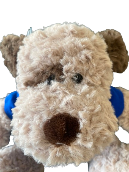Build a bear