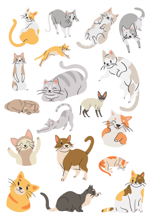 katte Midlertidige tatoveringer