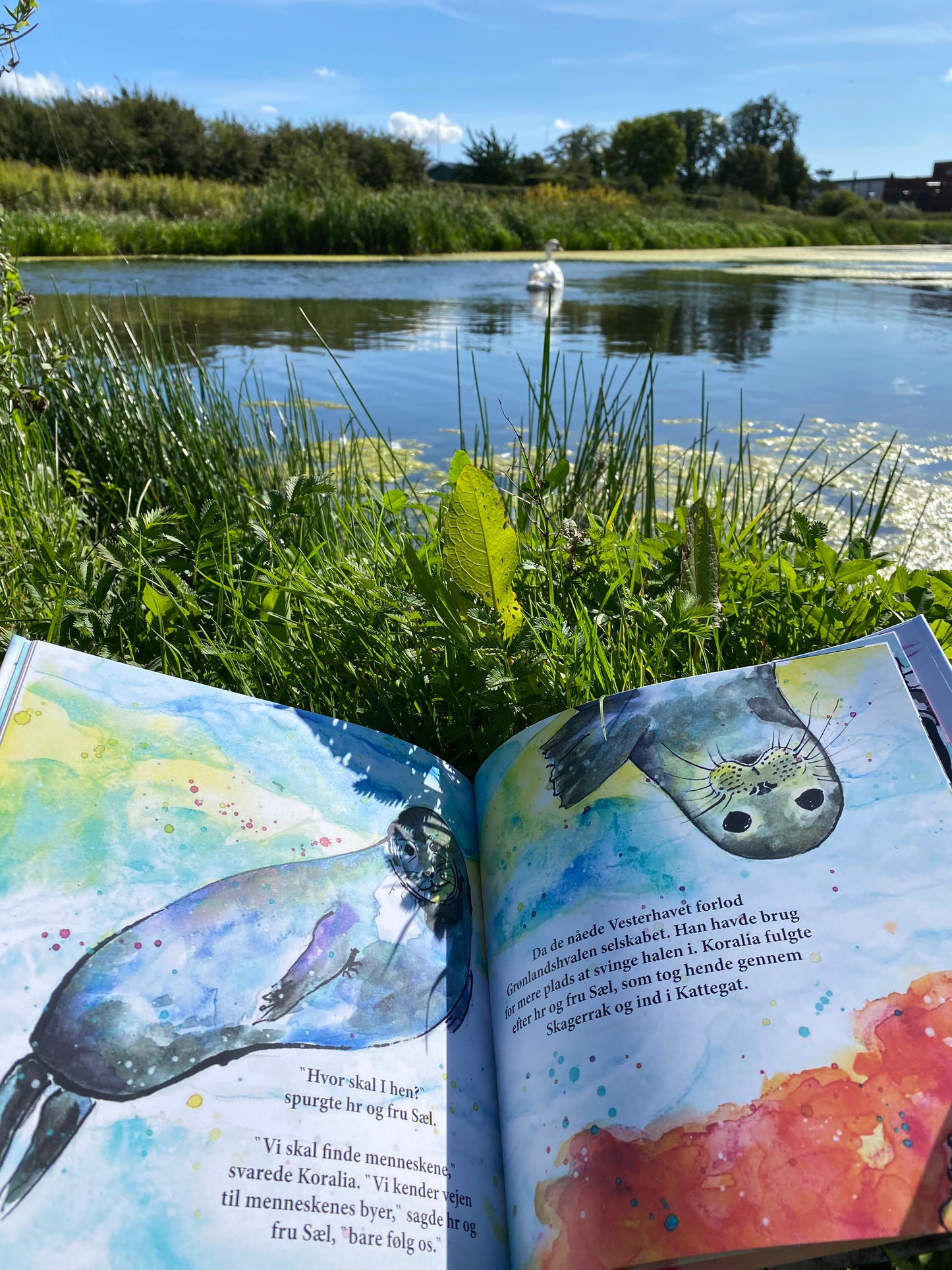 Havfruens Lange Rejse