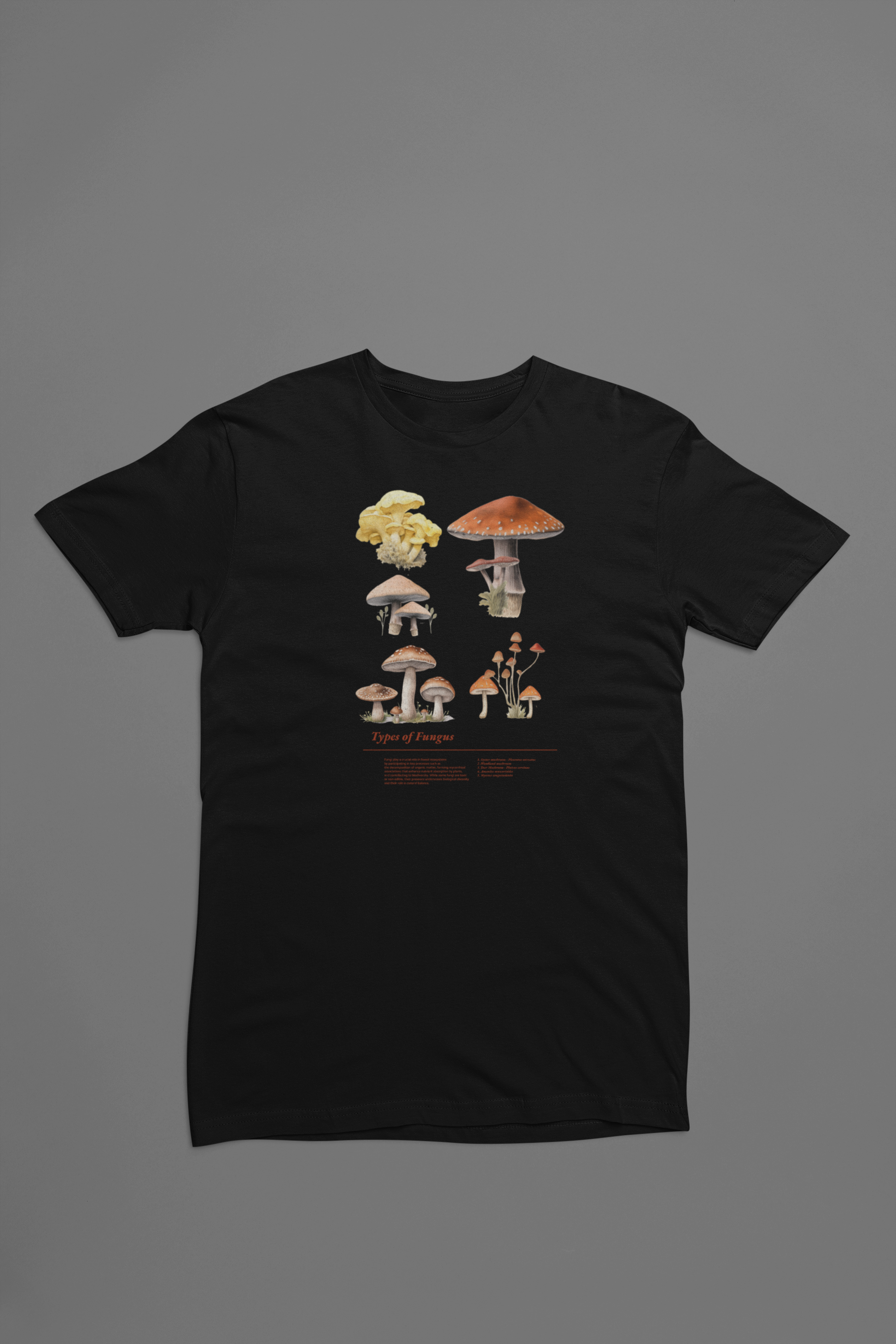 Svampe - sort T-shirt